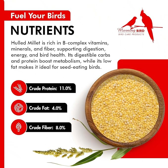 Morning Bird Hulled Millet 18 lbs (2-Pack, 9 lbs Each) – Nutritious Hulled Millet Seed - Easily Digestible with High Fiber, Rich in Vitamins & Minerals for Birds, Ideal Bird Feed for All Bird Types