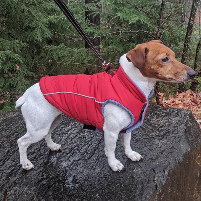 Gooby - Sports Vest, Fleece Lined Small Dog Cold Weather Jacket Coat Sweater with Reflective Lining, Red, X-Large