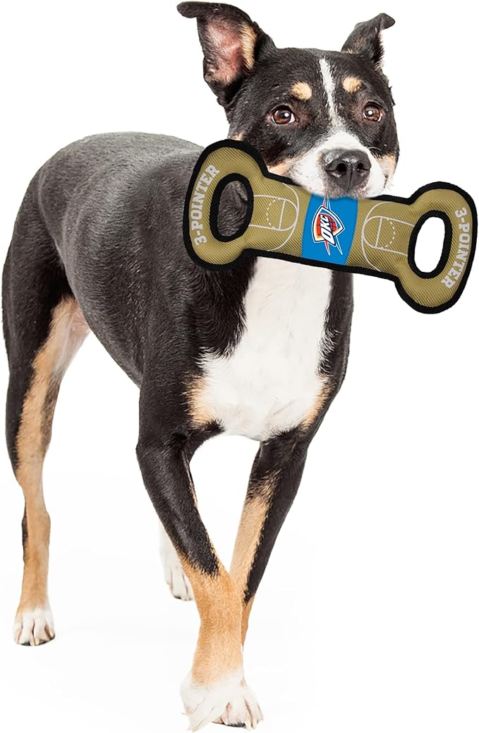 NFL Football Field DOG TOY with Squeaker. - LOS VEGAS RAIDERS - For Tug, Toss, and Fetch. - Tough & Durable PET TOY
