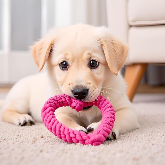 Pink Cute Dog/Cat Chew Toys, Dog Toys for Chewers, Heavy Duty Dental Dog Rope Toy for Dogs, Creative Love Heart Shaped Interactive Rope Dog Toys, Cotton Puppy Teething Chew Tug Toy Dark Pet Supplies