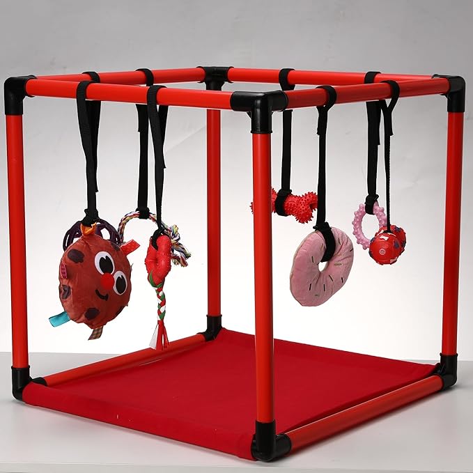Race&Herd Puppy Play Gym, Dog Play Mat, 8 Bungee Straps Interactive Puppy Active Toys - Small Dog Jungle Gym 19.5" Frame with Playground Set Indoor Enrichment Activity Center (Red)