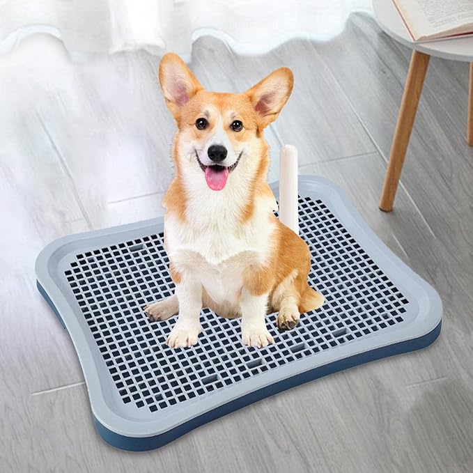 Pet Cat Training Toilet Tray Potty Easy to Clean Litter Bedding Box Urinal Dog Potty Tray Pee Pad for Small Animals Pets Accessories, Cyan