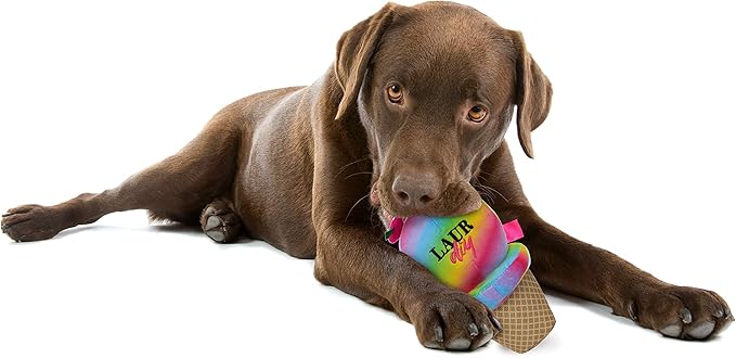 Pets First LaurDIY Ice Cream Cone Plush Pet Toy with Rope & Squeaker - LAURDIY Super Cute Dog Nylon Toy