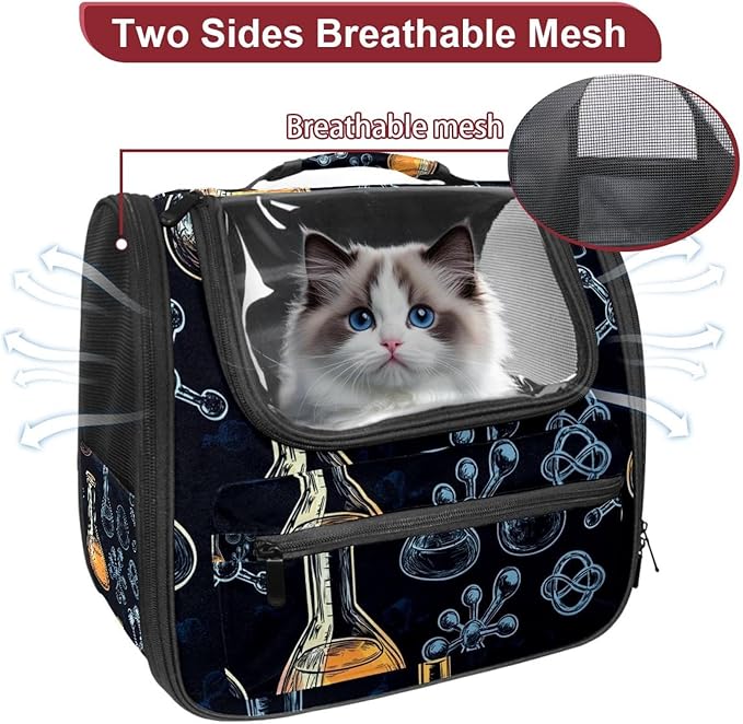 Chemistry Science Seamless Pattern (1) Transparent Pet Carrier for Travel Hiking for Kitty Small Dog