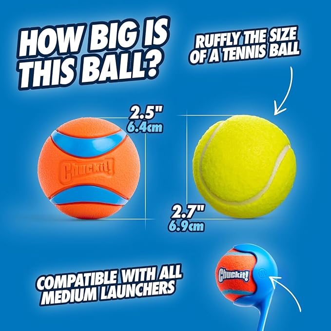 Chuckit! The Duo 22M Double Launcher Dog Toy, 22" Length, Includes 2 Medium Tennis Balls (2.5") Size Medium for Breeds 20-60lbs, for Multi-Dog and Pack Play, Launches Two Balls at Once