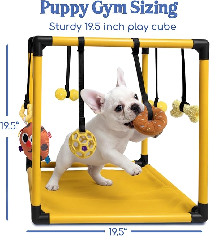 Race&Herd Puppy Play Gym, Dog Play Mat, 8 Bungee Straps Interactive Puppy Active Toys - Small Dog Jungle Gym 19.5" Frame with Playground Set Indoor Enrichment Activity Center (Yellow)