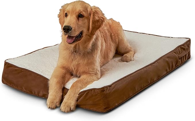 Happy Hounds Oscar Rectangle Orthopedic Foam Sherpa Dog Bed, Small (36 x 24 in.), Mocha