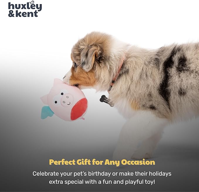 Huxley & Kent Funny Dog Toy w/Squeaker – Power Plush Squeaky Dog Toys for Small Dogs – Durable Small Stuffed Animal for Indoor Play & Fetch - Tiny Tuff Flying Piggasus