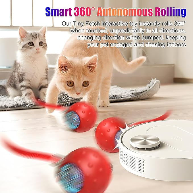 2Pcs Tinyfetch Dog Toy, Interactive Dog Cat Toys Balls with Birdsong, Rechargeable 360° Smart Automatic Rolling Electric Dog Ball Toy with Rope for Pets Indoor & Outdoor Play (Red+Blue)