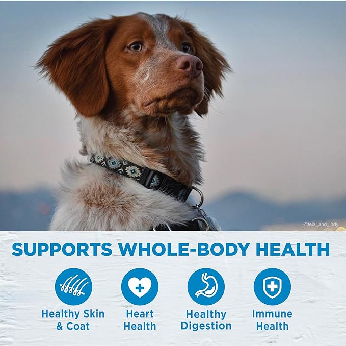 Wellness Simple Limited Ingredient Diet Adult Dry Dog Food, Wholesome Grain Kibble, Sensitive Stomach, Skin & Coat Support, Natural, Chicken Free, Lamb and Oatmeal Recipe, 40 lb Bag