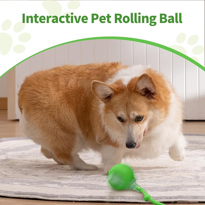 2pcs Smart Interactive Pet Toy Ball, Self Rolling Dog Ball Interactive Cat Toys, 360° Smart Automatic Rolling Ball Toy for Dogs Cats Indoor Outdoor Play (Green&Grey)