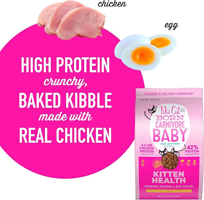 Tiki Cat Born Carnivore Baby Non-GMO, Chicken & Egg 5.6 lbs.