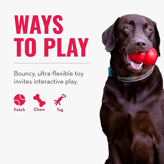 KONG Reflex Ball Lg