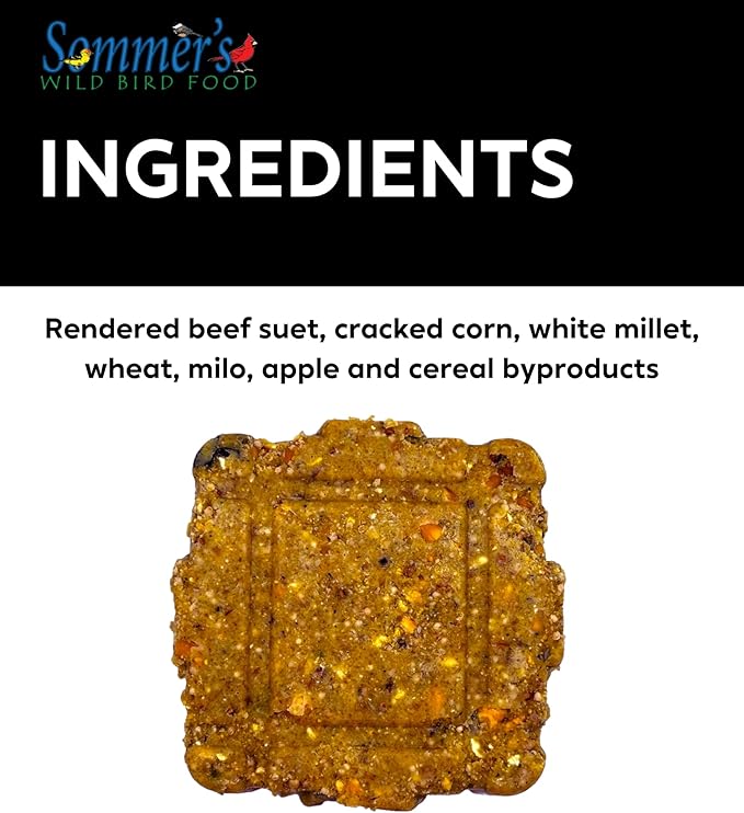 Apple Wild Bird Suet Cakes – 12 Pack, 12.15 oz Each, No-Melt Formula, High Energy Suet for Outdoor Bird Feeders