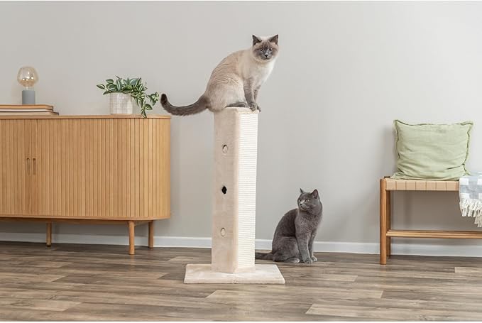 TRIXIE Soria Cat Scratching Post 31.5 Inch - Scratcher With Soft Fabric Covering Base and Durable Sisal Rope - Peek-a-Boo Cutouts, Hide and Seek Toy - in Greige