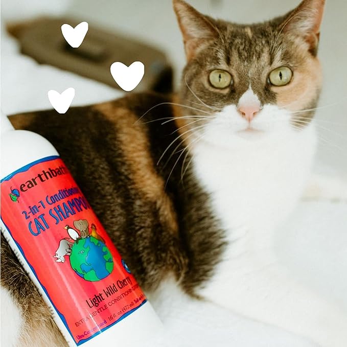 earthbath, Wild Cherry 2-in-1 Cat Conditioning Shampoo - Cruelty Free Cat Shampoo and Conditioner, Made in USA, Gentle, Safe Pet Wash for Kittens - 16 Oz (1 Pack)