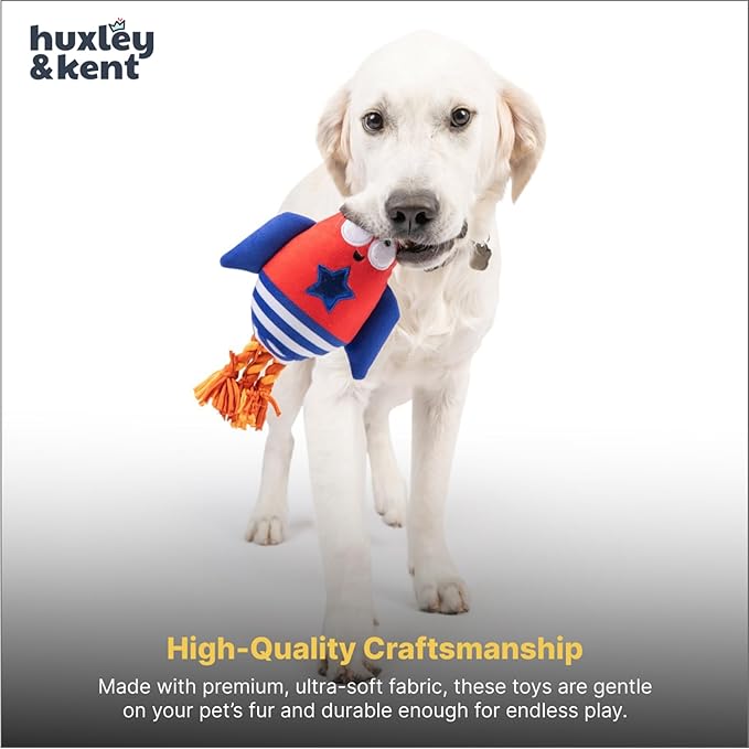 Huxley & Kent Funny Dog Toy w/Squeaker – Power Plush Squeaky Dog Toys for Small, Medium & Large Dogs – Soft Stuffed Animal for Indoor Play & Fetch - Rocket Man, Large