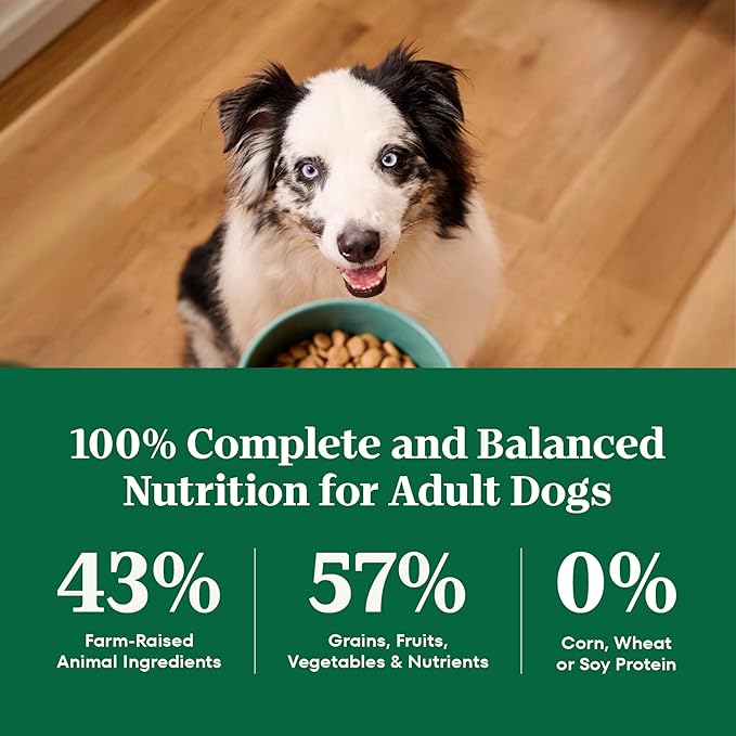 Nutro Natural Choice Dry Dog Food, Adult Dog Food Dry Beef and Brown Rice Recipe, 28 lbs.