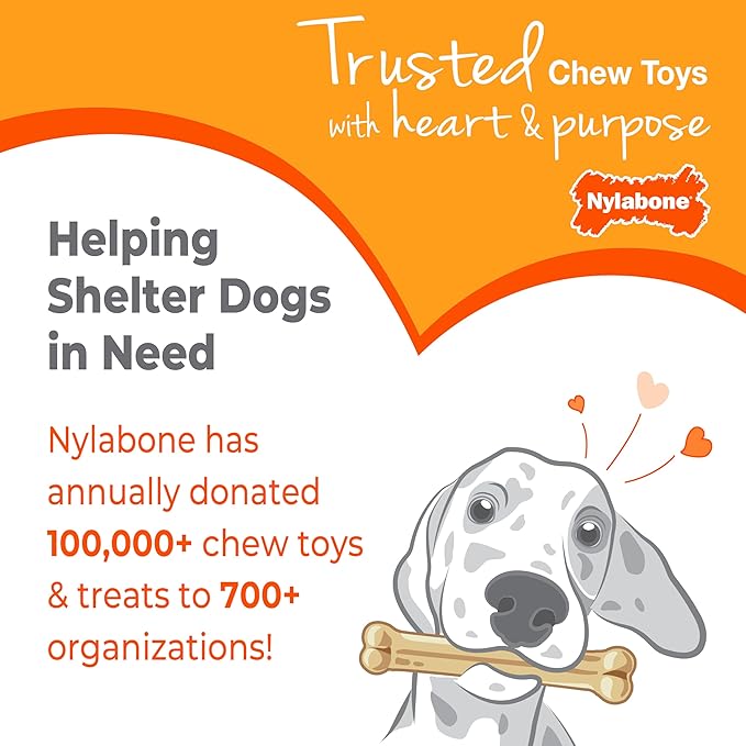 Nylabone Puppy Stages Chew Toy Set, Teething and Chewing Toys for Growing Puppies, Chicken, Maple Bacon, & Beef Jerky Flavors, Medium Dogs - Up to 35 lbs., 3 Pack