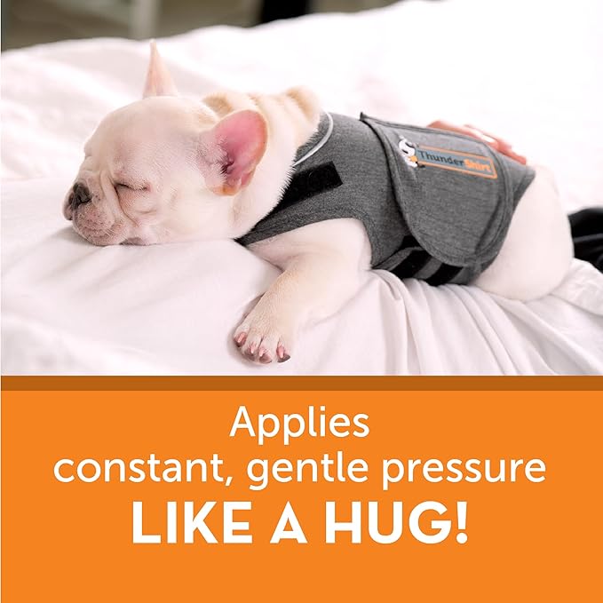 ThunderShirt for Dogs, XX Small, Heather Gray Classic - Dog Anxiety Relief Calming Vest
