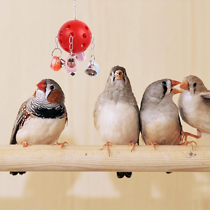 Colorful Bell Ball Bird Cage with Hanging Ring Interactive Parrot Chew for Parakeets Squirrels Small Pets Cage Decoration and Entertainment Accessory