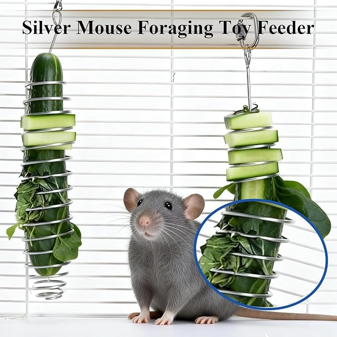 2Pcs Rat Enrichment Toys,Bird Cage Food Fruit Vegetable Holder,304 Stainless Steel Foraging Toy,Fancy Mice Cage Accessories Puzzle Toy,Hanging Rodent Toys Slow Feeder,Bird Foraging for Parakeet