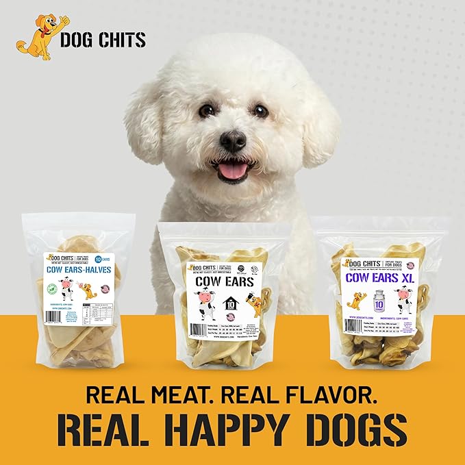 Dog Chits Cow Ears for Dogs – All Natural Cow Ear Dog Treats & Training Chews – High Protein, Low Fat – Thick Cut, Half Ears – Dental Clean Crunch – Ideal for Medium & Large Dogs – Large, 10 Pk