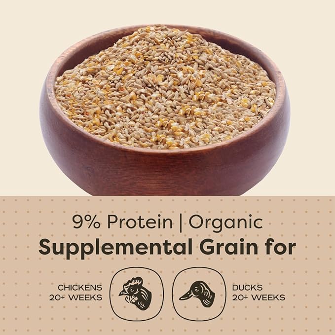 Scratch and Peck Feeds Whole Grain Scratch + Corn Chicken and Duck Supplemental Grain - 40 lbs Bag - Soy-Free - 9% Protein, Certified Organic and Non-GMO Project Verified Chicken Food
