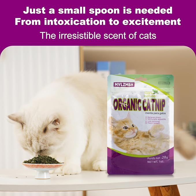 Organic 100% Natural Catnip Cattle Grass Mint Taste Funny Cat Toy New Cat Toy Interactive Cat Toys Pet Supplies