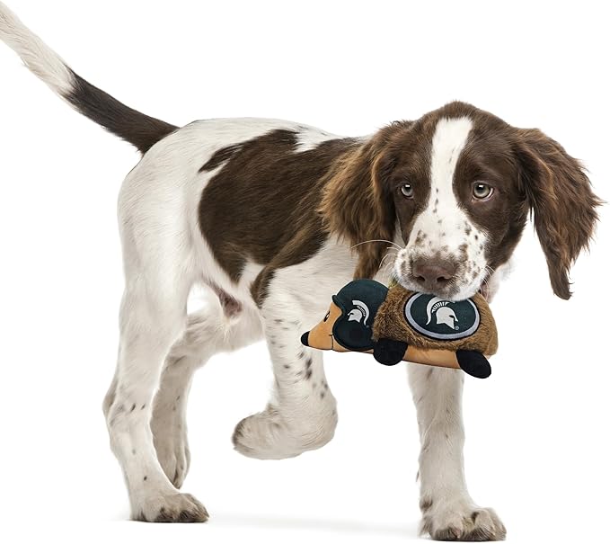 NCAA Michigan State Spartans Plush Hedgehog Toy for Dogs & Cats, Cool Soft Pet Toy for Fun and Interactive Play, Dog Chew Toy with Squeaker, Licensed Hot Pet Toy