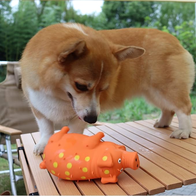 Pig Squeaky Dog Toy, 2 PCS Interactive Rubber Dog Chew Toy - Durable Latex Spot Grunting Pig Toys that Oink for Small Medium Large Dogs (Orange, Blue)