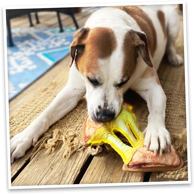 Doggijuana Cafe Combo Refillable Juananip Toy Bundle | Grilled Cheese & Corn Dog | Funny Dog Toy Plush with Catnip and Refill | Interactive Chew for Play