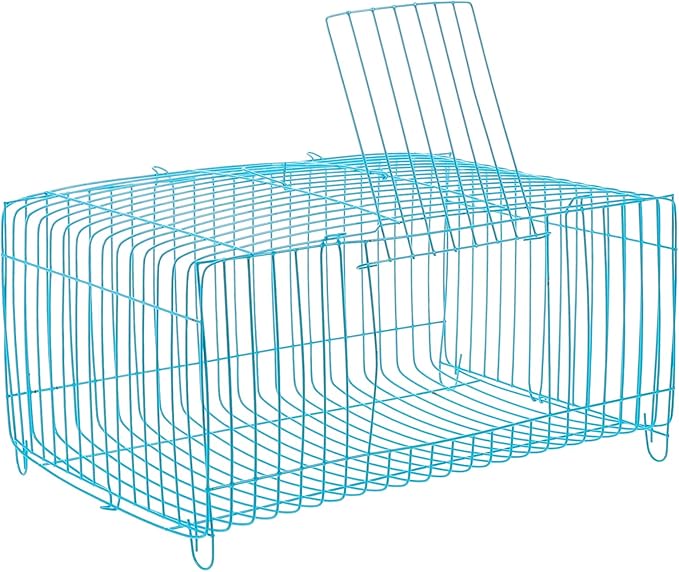 Portable Bird Carrier Cage with Spacious Interior Improved Air Circulation for Small Pets Like Hamsters and Parrots Convenient Travel Design for Outdoor Adventures
