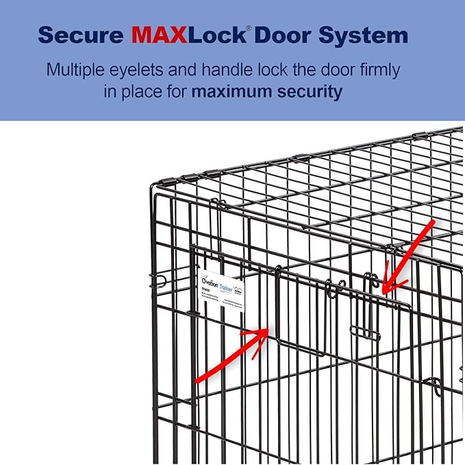 MidWest Homes for Pets Medium Ovation Double Door 30-inch Folding Metal Dog Crate, Front and Up & Away Side Doors, Space-Saving Design