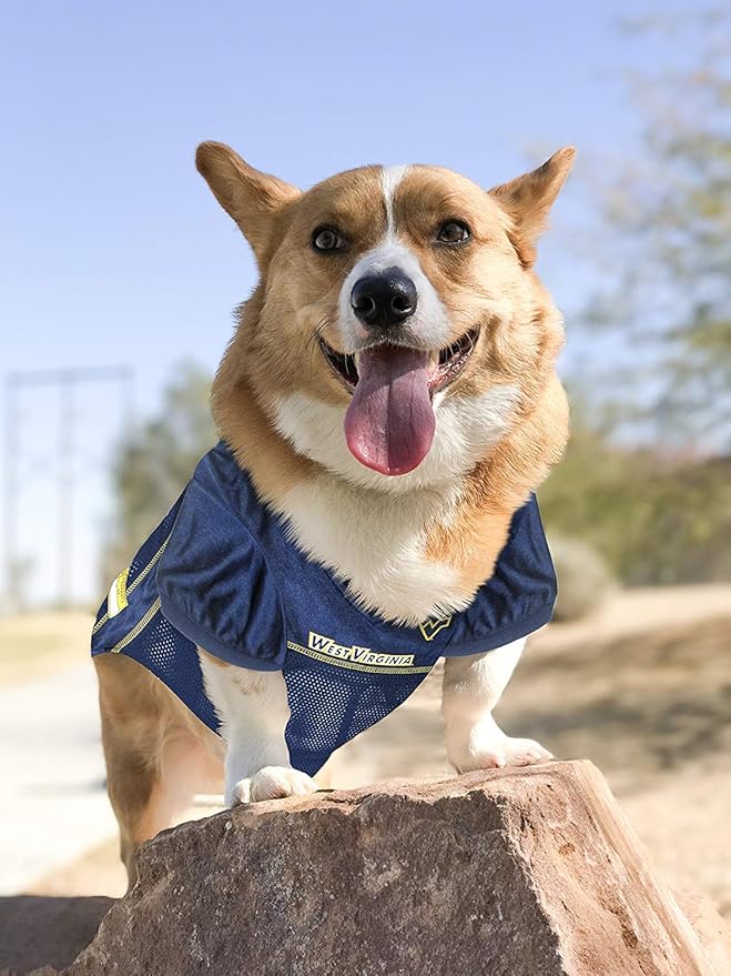 Pets First NCAA College West Virginia Mountaineers Mesh Jersey for DOGS & CATS, X-Small.Licensed Dog Jersey with your Favorite Football/Basketball College Team