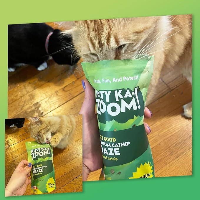 Catnip Craze 2-Pack | Catnip Mix | Hand Harvested Fresh Catnip Grown in Canada and The USA | High Potency Blend for Engaging Play