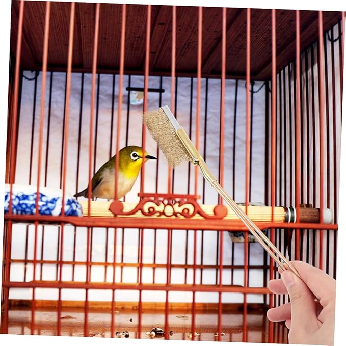 Kisangel 1set Bird Cage Brush Handle Steel Bristles for Cleaning Trays Rungs Accessories Ergonomic Grip Heavy-Duty for Parrots and Animal Cages