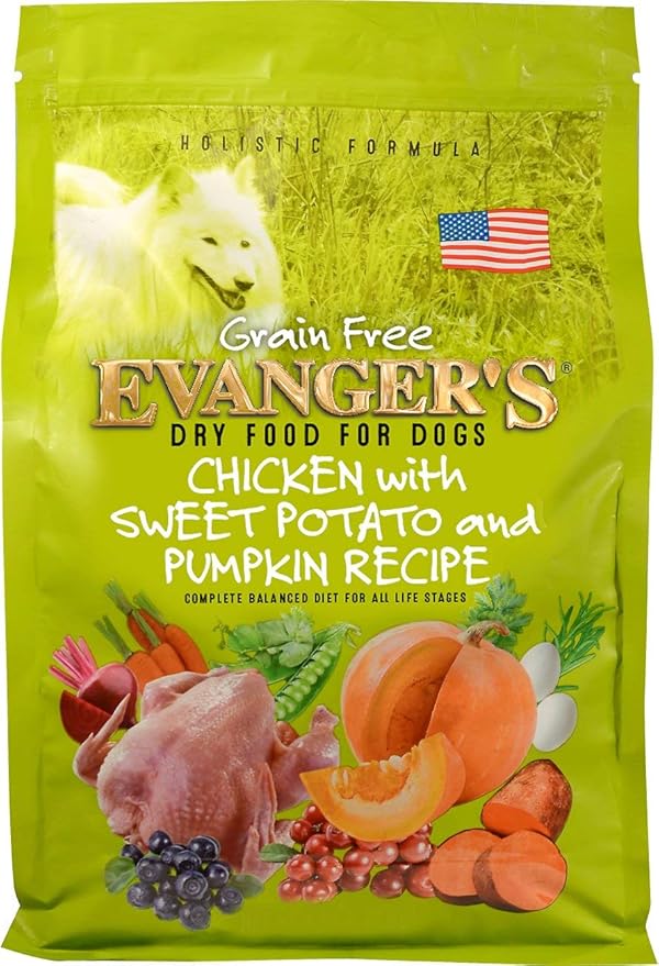 Evanger's Grain Free Chicken with Sweet Potato & Pumpkin Dry Food for Dogs – 4.4 lb – Fresh Deboned Chicken, Probiotics, Omegas 3 & 6, Grain-Free, All Life Stages