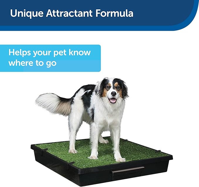PetSafe Skip to My Loo Attractant, Potty Train Dogs to Use Pee Pads and Alternative Dog Potty Solutions