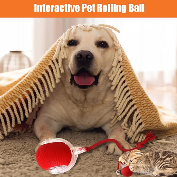 2025 New Interactive Dog Cat Toys Balls, Rolling Ball for Dogs, 360° Smart Automatic Rolling Pet Ball, Electric Dog Balls Toy, Fast Moving, for Indoor Cat and Dogs