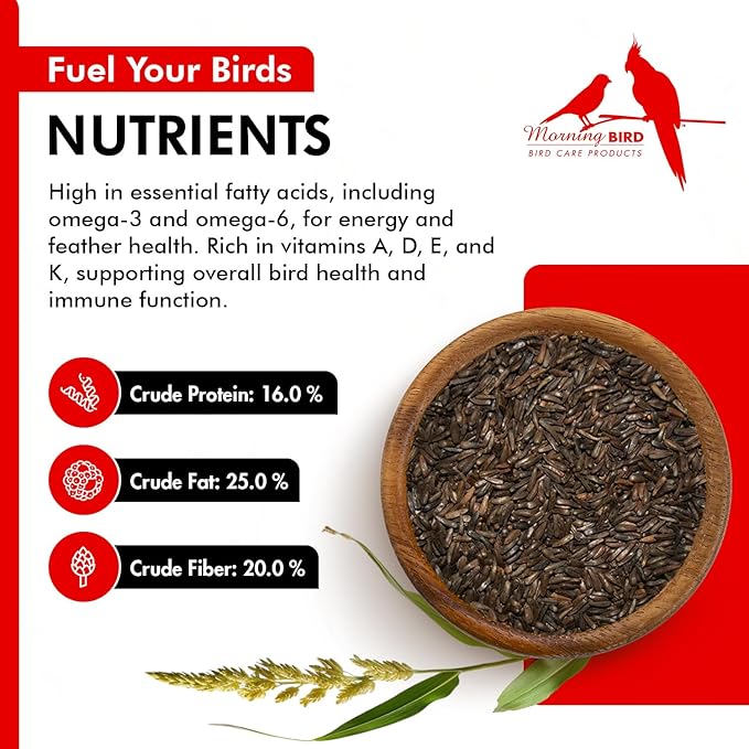 Morning Bird Nyjer Seed for Birds 1.5 lbs – Energizing Nutrition with Rich Natural and Healthy Fats – Ideal Bird Food for Breeding & Molting – Great for Canaries, and Other Seed-Eating All Birds