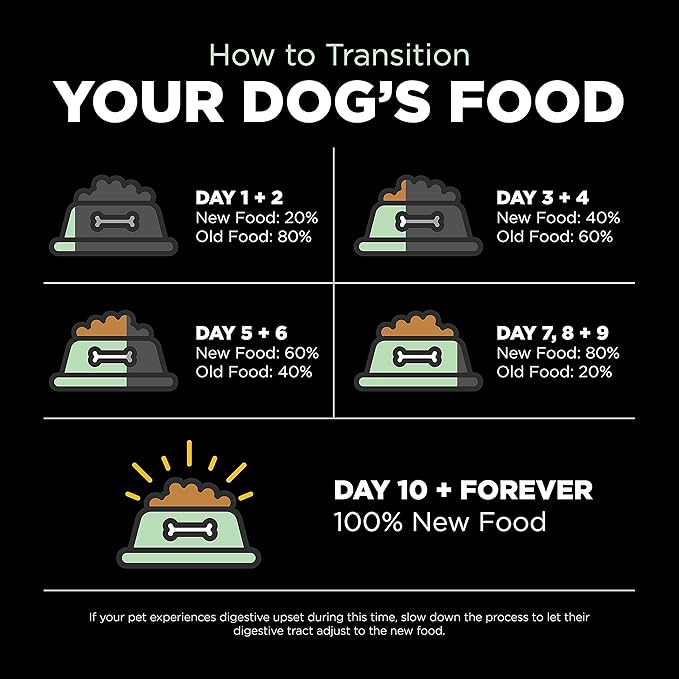 Go! Solutions Skin + Coat Care Turkey Dry Dog Food with Grains, Chicken-Free, Healthy Kibble with Omega-3s & 6s for Soft, Shiny Fur, for Puppies, Adults, & Seniors, 3.5 lb Bag