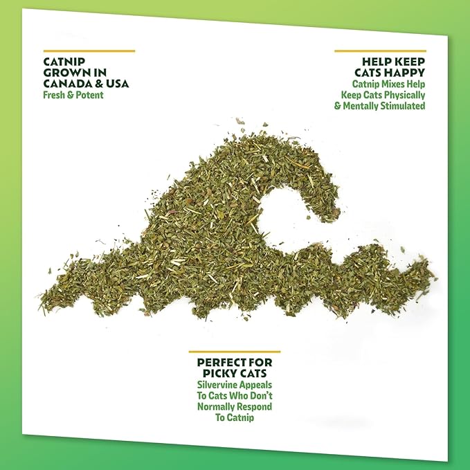 Silvervine Surge 2-Pack | Catnip and Silvervine Mix | Hand Harvested Fresh Catnip Grown in Canada and The USA | High Potency Blend for Engaging Play