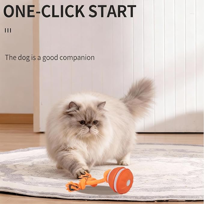 Interactive Dog & Cat Toys for Small Dogs and Indoor Cats - Automatic Moving Ball with Chirping Sound, Motion Activated Self Play Toy to Entertain Bored Pets, Easter Basket Essentials (1 Orange)