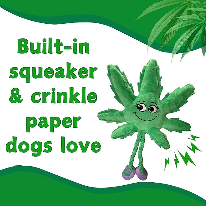 My Name is Mary Jane, Cute Stuffed Parody Marijuana Leaf Dog Toy, Funny Squeaky Weed Toy, Cool Plush Novelty 420 Gift for Puppies & Small, Medium & Large Breeds, For Fetch & a Photo Prop, Shelf-Sitter