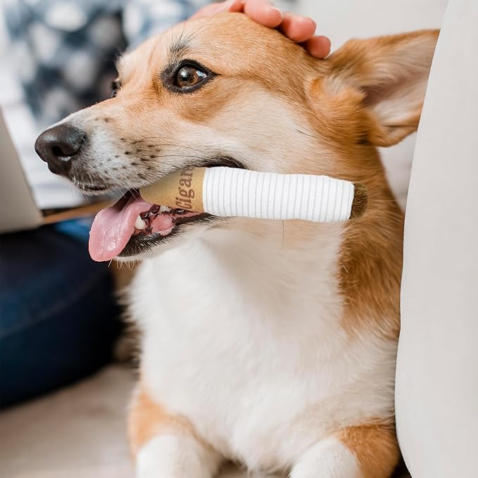 Funny Cigarettes Dog Toy - 4Pcs Interactive Dog Teething Toys Squeaky Cigar Pet Toy Indoor Bite Kick Plush Dog Cat Toys Supplies for Puppies Small Dogs Pet Present Cats Pet Lovers Gift