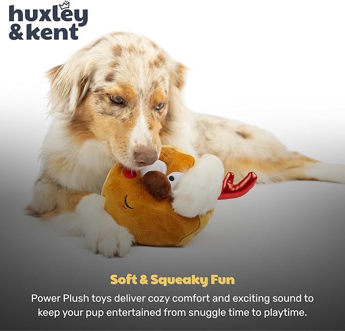 Huxley & Kent Pet Bow Tie for Dogs & Cats - Holiday Adjustable Hook & Loop Collar Accessory - Cute & Comfortable for Holidays & Celebrations - Gotta Dash Reindeer Cookie, Small
