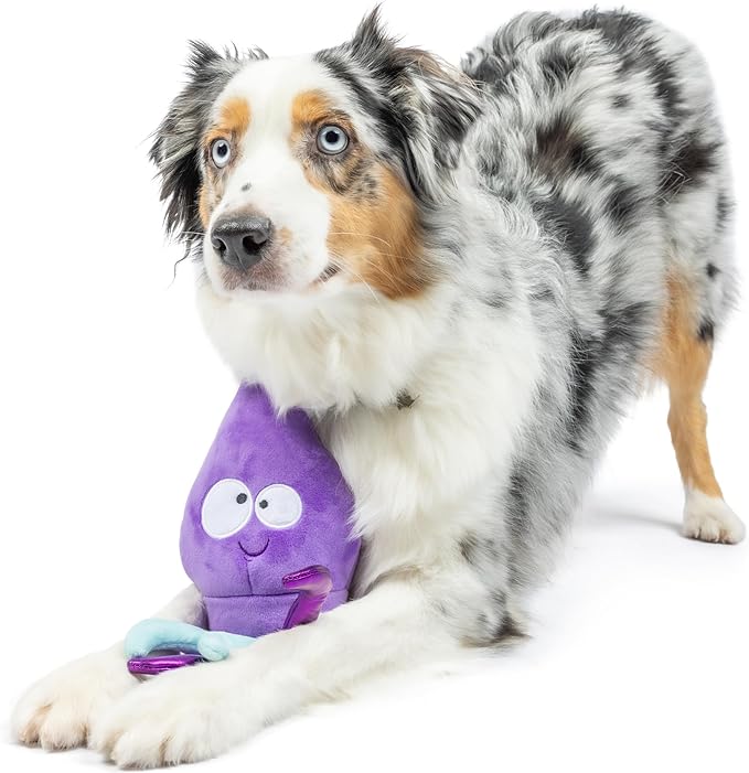 Huxley & Kent Slappies for Dogs | Squiggly Squid (Large) | Squeak & Shake Dog Toy | No Stuff Squeaky Toy, TPR Ball in Head | Simulates Hunting Nature for Dogs
