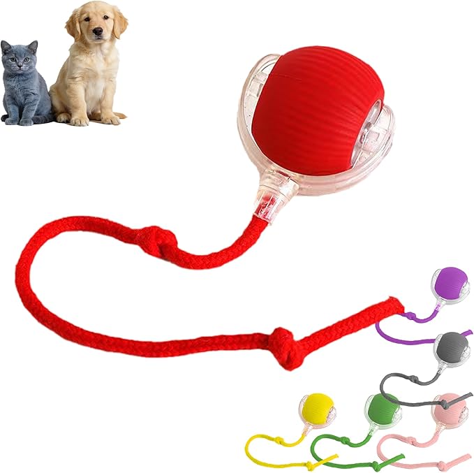 Smart Tiny Fetch Dog Toy, Interactive Cat Toys Ball with Smart Motion Sensor and Auto-Dodging for Bored Kitten Pet Cats Dogs (Red)