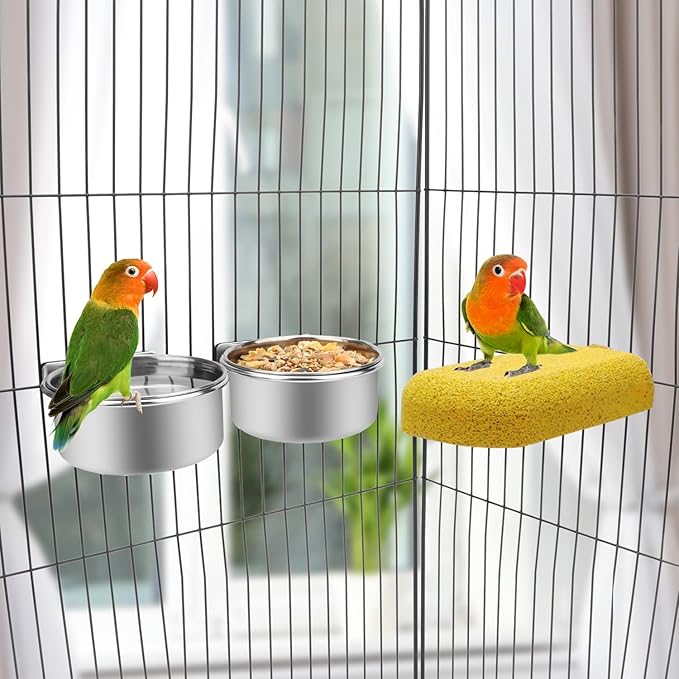 Wontee Pet Food Water Bowl with Clamp Holder Stainless Steel Feeding Cups Feeder for Dog Bird Parrot Cat Rabbit, 2 Packs (S)